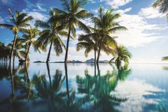 Du kan virkelig drømme deg bort ved bassenget på Tokoriki Island Resort. Copyright ph. Stephen Govel
