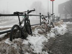 I fjor ble det stjålet 10 400 sykler i Norge, viser nye tall. Sykkeltyvene stjeler nå hele året, ikke bare i de varme månedene, ifølge forsikringsselskapet If. (Foto: If)