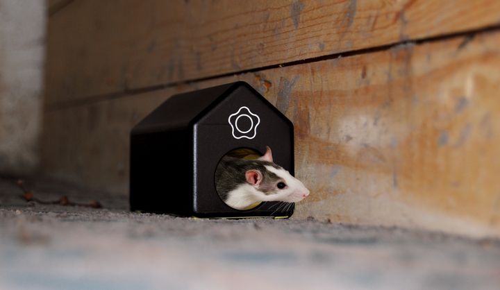 Nå kommer snart mus og rotter på besøk i boligene. Ny teknologi kan gi deg beskjed på mobilen når gjestene kommer.