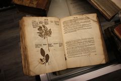 Denne utgaven av Dioscorides ble trykket i Tyskland i 1614 og har avsatt plass, slik at man kunne montere inn pressede planter.  Foto: Dag Inge Danielsen/UiO