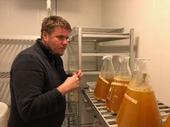 Forsker Bjørn Roth i Nofima tester kveikgjær i ølproduksjon. Foto: Lidunn M. Boge © Nofima
