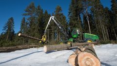 I 2019 økes midlene fra Landbrukets Utviklingsfond til skogbruk med 20 millioner kroner.Foto: Torbjørn Tandberg