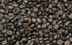 Kaffe er truet av klimaendringer. Hvordan kan vi tilpasse oss? Foto: Utviklingsfondet