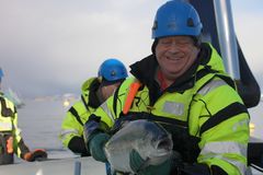 Fiskeriminister Harald T. Nevik i arbeid hos Kvarøy Fiskeoppdrett AS. Foto: Nærings- og fiskeridepartementet.