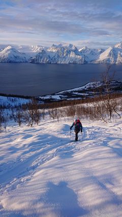 Espen Nordahl på vei opp fjellet. Foto: Erlend Sande