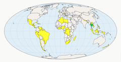 122 land stemte for FNs atomvåpenforbud i juni. Fredsprisvinner ICAN har vært en sentral pådriver for avtalen. Dette kartet viser hvilke land som har skrevet under avtalen og hvilke som har ratifisert den. Avtalen finner du på FN.no.
