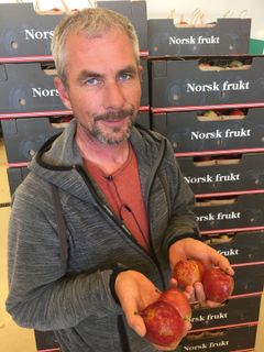 Epleprodusent Knut Amund Surlien med eksemplarer av epler med "kork-skade".