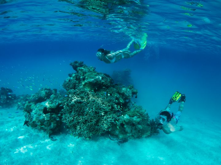 Cookøyene vil bli verdens grønneste reisemål, og har etablert en av verdens største marin parker.