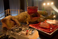 I april 2015 gjennomførte fire veterinærer og paleontologer verdens første disseksjon av en anatomisk korrekt Tyrannosaurus rex. På bildet er dyrets magesekk og tarmer fjernet for nærmere undersøkelse. Foto: National Geographic Channels/Stuart Freedman