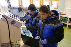 Forskere i arbeid på Havbruksstasjonen i Tromsø. Foto: Nofima.