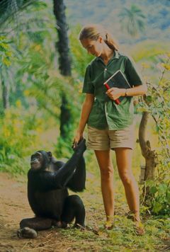 Jane Goodall. Foto: National Geographic.