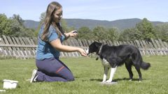 Hundetrener Maren Teien Rørvik å finne hunder som vil passe som hjelpehunder for personer med forskjellige funksjonsnedsettelser. Foto: Cato Johansen/NRK