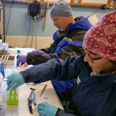 I april testet forskere ulike doser på laks på Havbruksstasjonen i Tromsø. Foto: Nofima.