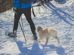 OPPDAG NYE STEDER: Med truger eller brodder kommer du langt, også på snø og is. Foto: Illustrasjonsfoto