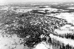 Eksempel på jordskred i flatt terreng som ble utløst av et usedvanlig kraftig jordskjelv i Alaska i 1964. Skredet var 2,5 km bredt og ødela et boligområde. Kilde: https://www.theatlantic.com/photo/2014/05/1964-alaskas-good-friday-earthquake/100746/