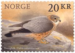 NK 1950: Dvergfalk (Falco columbarius)
