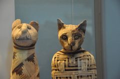 Foto: Claudio Ottoni, Mumifiserte katter fra British Museum viser at dagens katter trolig er ganske lik de kattene som ble tilbedt i det gamle Egypt.