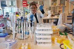 Professor Vessela Kristensen ved Oslo universitetssykehus fikk i mars 2018 tildelt Kong Olav Vs kreftforskningspris for sine studier av  den genetiske variasjonen som ligger til grunn for kreft i bryster og eggstokker. Foto: Daniel Nebdal, OUS