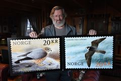 Viggo Ree viser fram frimerkene med falkemotiver fra hans akvareller. Foto: Birger Morken, Posten
