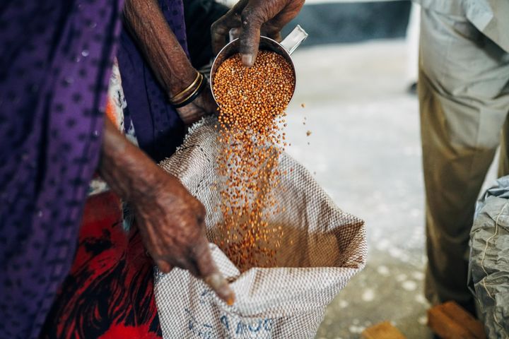 Utdeling av såfrø i Somalia. Selv FN måtte låne frø fra denne frøbanken under den alvorlige tørkekatastrofen i 2017. Foto: Kristoffer Nyborg for Utviklingsfondet