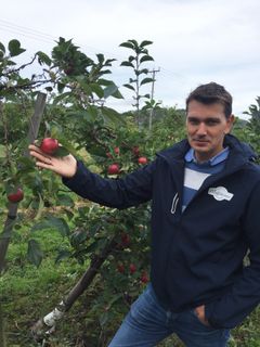 Epleprodusent Pål Audun Høyen i Svelvik er en av de flinke bøndene som jobber med å øke produksjonen av norske epler.