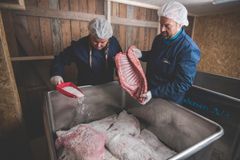 Ekteparet Svien ønsker å bli en ledende levrandør av kvalitetskjøtt. Foto: Yngve Ask