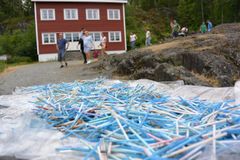 I fjor plukket Politiet og Oslofjorden Friluftsråd 4.124 q-tips på 20 meter strand - på en halvtime. Foto: Bjørn Heidenstrøm