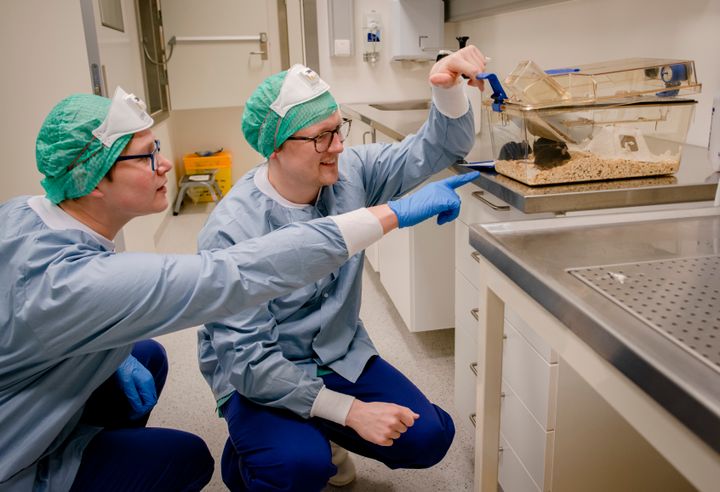 Deborah Hill og Stein-Martin Tilrum Fagerland ser nærmere på musene på laboratoriet. Foto: Terje Visnes