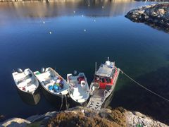 RS Ung Bergens båter fylles med søppel etter rydding på Sotra.