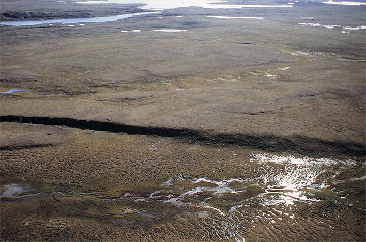 Stuoragurra-forkastningen i Masi er åtte mil lang og opptrer som en opptil sju meter høy, markert skrent i det flate landskapet på Finnmarksvidda. Foto: Odleiv Olesen