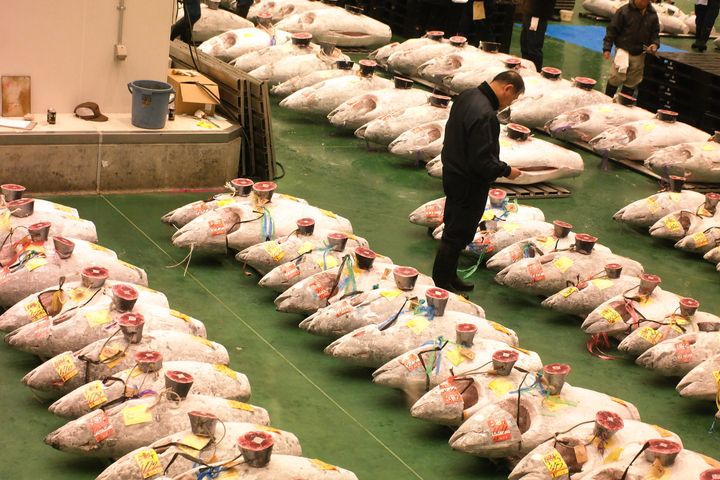 Fra tunfiskauksjon i Tokyo