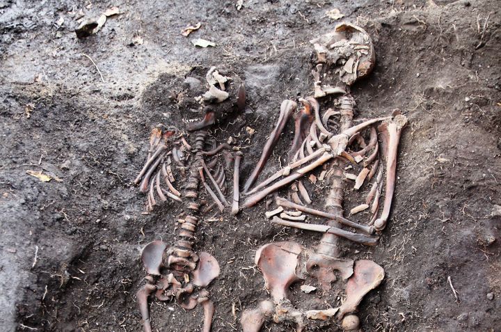 Kvinnen (til høyre) som lå i dobbeltgraven fra Oslos middelalderby på 1400-tallet var alvorlig smittet av luseoverført tilbakefallsfeber da hun døde. Foto: Lars Haugesten, Norsk institutt for kulturminneforskning (NIKU)