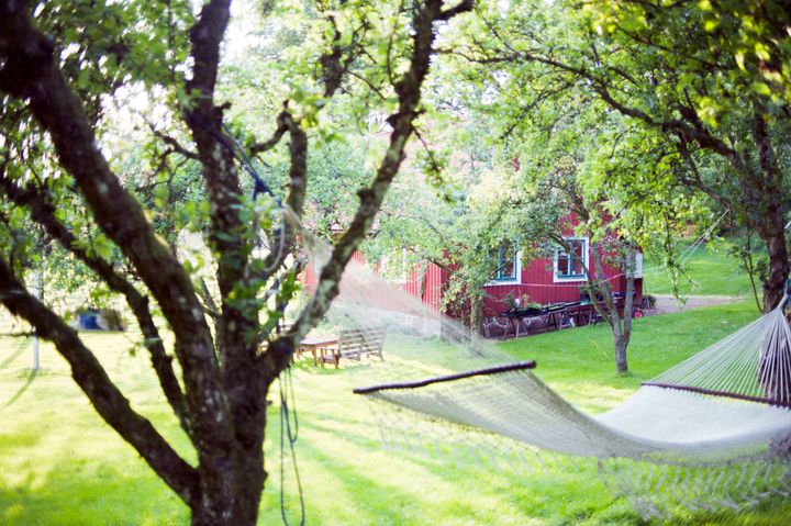 Ikke hugg naboens trær, selv om den skygger for sola. Foto: Christina Sundien/Scandinav/NTB Scanpix
