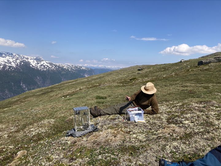 Biolog med hatt  på feltarbeid i fjellandskap