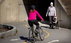 En kvinne går med førerhund på en gang- og sykkelvei. En syklist kommer i mot dem.